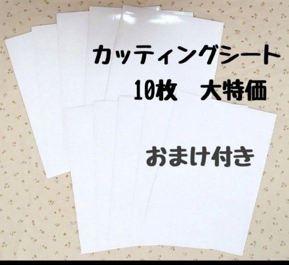 カッティングシート 大特価 白つや 10枚 屋外用 おまけ付き カッティングステッカー シート ウインドー文字 名前シール