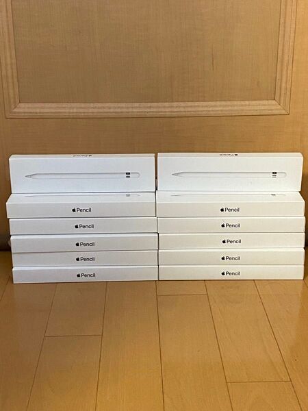 【ジャンク品】Apple Pencil 第1世代 アップルペンシル第一世代 空箱22個まとめ売り