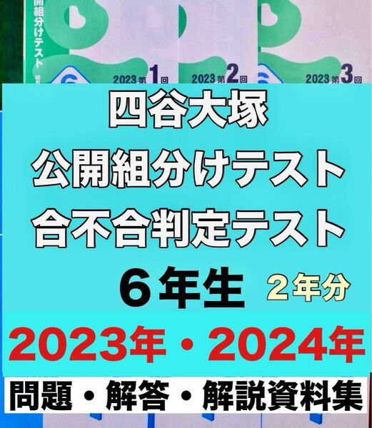 四谷大塚 6年生 2024年2023年 2年分 組分け合不合判定テスト 問題・解説全集 早稲アカ