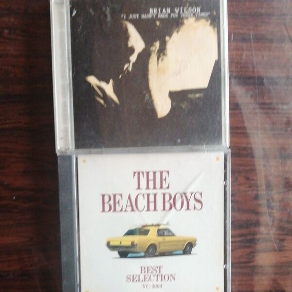 the beach boys,Brian wilsonビーチ・ボーイズ、ブライアン・ウィルソン