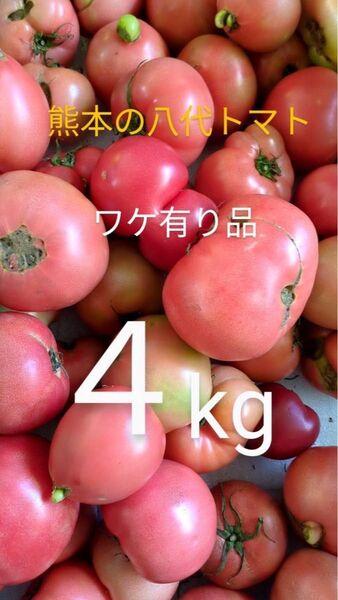 熊本八代トマト 4kg ワケあり品