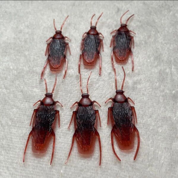 【新品】フェイク どっきり ゴキブリ おもちゃ 6匹