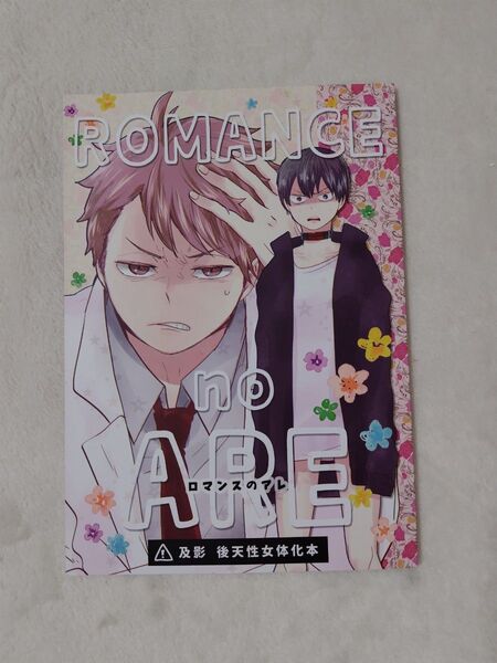 ハイキュー 同人誌 ロマンスのアレ B型装備 及影
