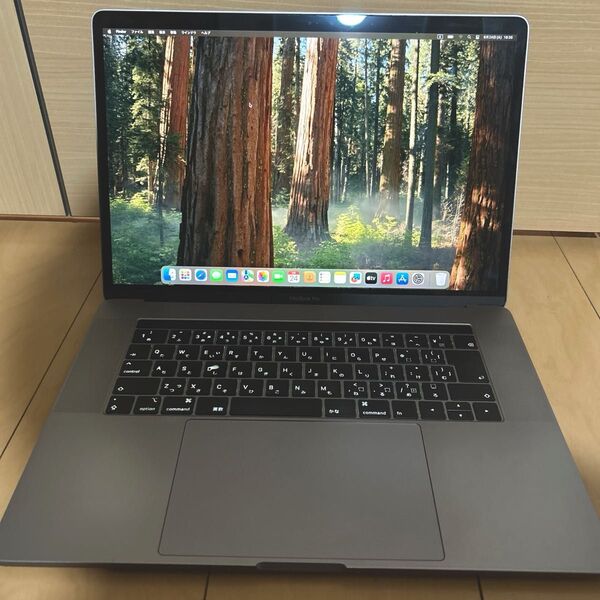 MacBook Pro 15.4インチ 2.9GHz i9 32GB 1TB