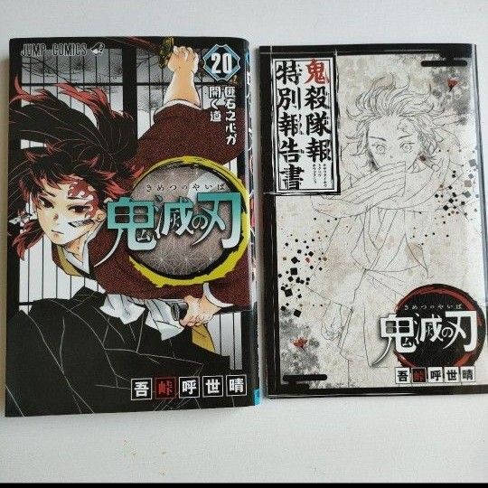 鬼滅の刃20巻&鬼殺隊特別報告書