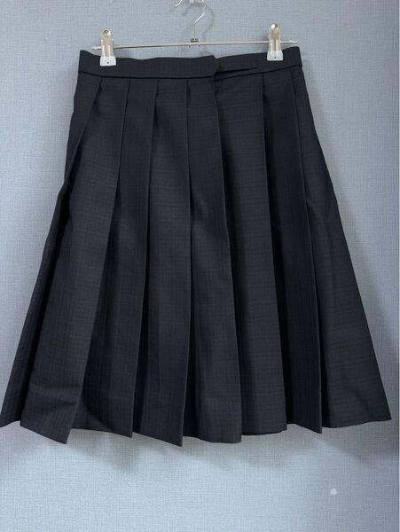 スクール スカート プリーツ 制服 学生服 ネイビーチェック 女子