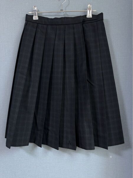 夏用 スクール スカート プリーツ 制服 学生服 ネイビー チェック女子