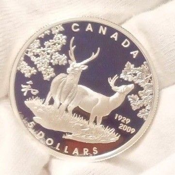 カナダ王室 記念銀貨【Silver 925】