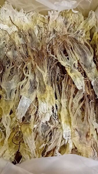 前浜するめ足【400g】
