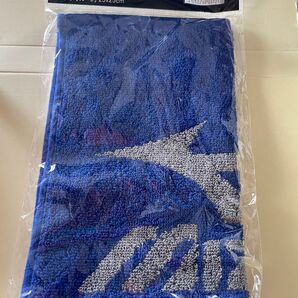 ミズノハンカチ タオルハンカチ mizuno ミズノ ウォッシュタオル