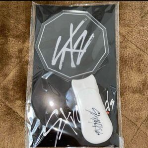 Stray kids スキズ ペンライト レア 新品未開封