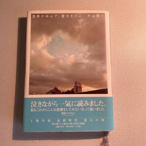 世界の中心で、愛をさけぶ 片山恭一