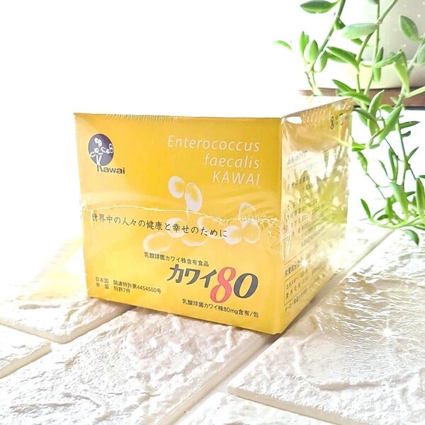 カワイ80 100包 1箱