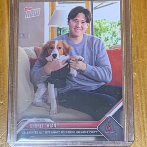2023 Topps Now 大谷翔平 MVP OS-19 エンゼルス ドジャース トップス デコピン