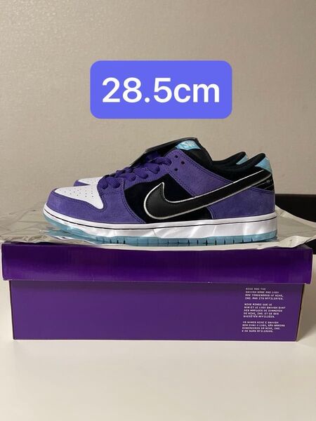 Hayley Wilson × Nike SB Dunk Low Pro "Black and Court Purple"