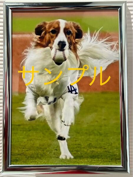 大谷翔平 A4写真 デコピンの始球式 他にも多数出品していますので是非ご覧下さい。フレームカラー銀色24