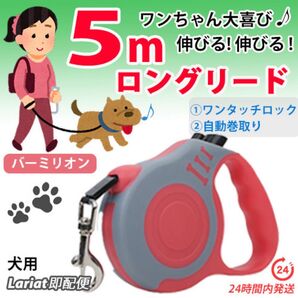 ロングリード【 バーミリオン・5m 】自動巻き取り伸縮リード 犬用 長い 軽い コンパクト 散歩