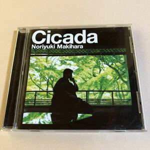 槇原敬之 1CD「Cicada」