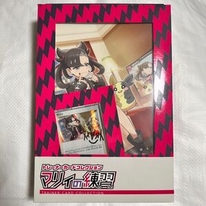 マリィの練習 キバナの不屈 (イーブイヒーローズ入り)