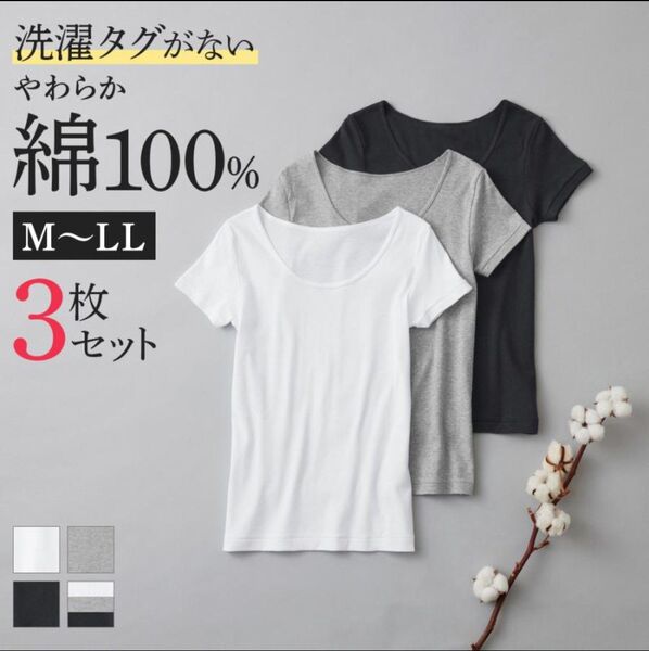グンゼネット限定 綿100% 2分袖 インナー レディース 3枚組 コットン100% 半袖 肌着 インナーシャツ アソ―ト M