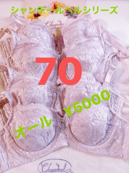 シャンデールベルピエゾメッシュ!B、C、E、F最高級ブラジャー70サイズ!在庫処分セール!美しいバストラインへ!All5,000円