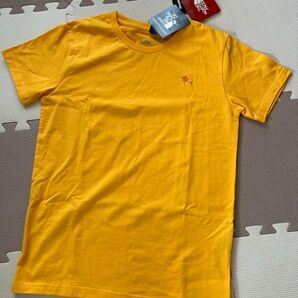 THE NORTH FACE モンキーマジックTシャツ