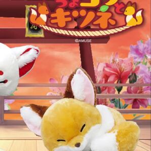 ちょコンとキツネ くるんとおねむ アカキツネ きなこ BIGぬいぐるみ