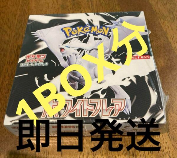 ホワイトフレア 1BOX分