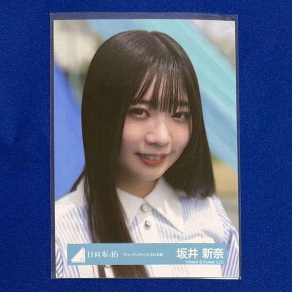 日向坂46 生写真 ジャーマンアイリス MV衣装 坂井新奈 衣装 ヨリ