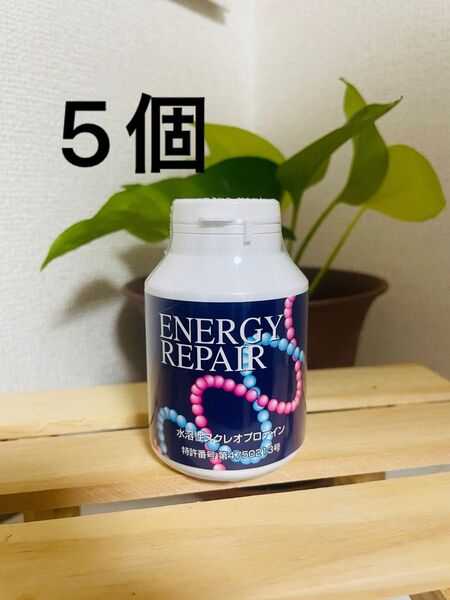 【未開封】ENERGY REPAIR 核酸 エナジーリペア180粒 5個