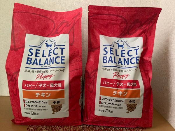 【14】SELECT BALANCE 3㎏×2袋セット/ドッグフード/ チキン/ パピー/子犬・母犬用