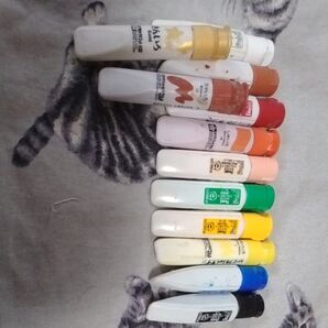 絵の具12本 残量半分位です。