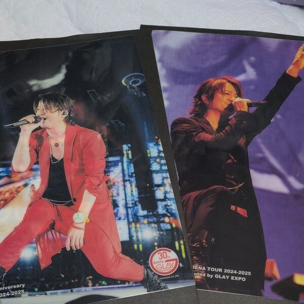 GLAY 30th Anniversary エンタメくじ TERU