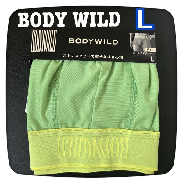 BODY WILD ボクサーブリーフ★ローライズ★L★GUNZE