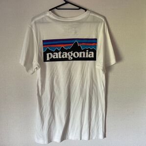 パタゴニア 半袖 Tシャツ
