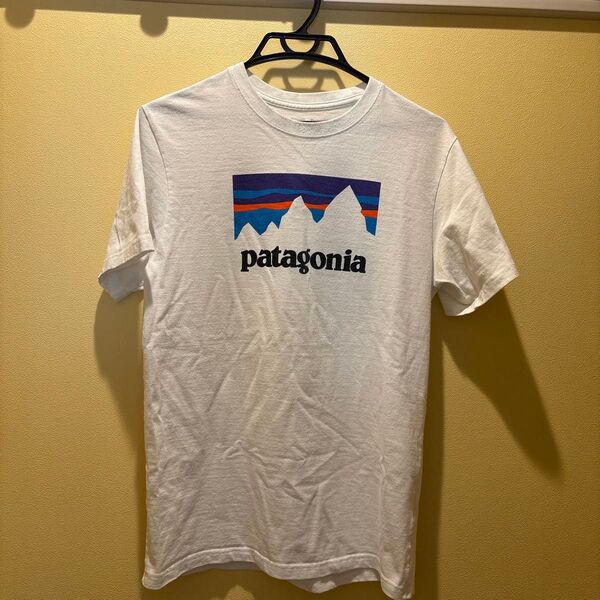 patagonia Tシャツ メンズ S レギュラーフィット