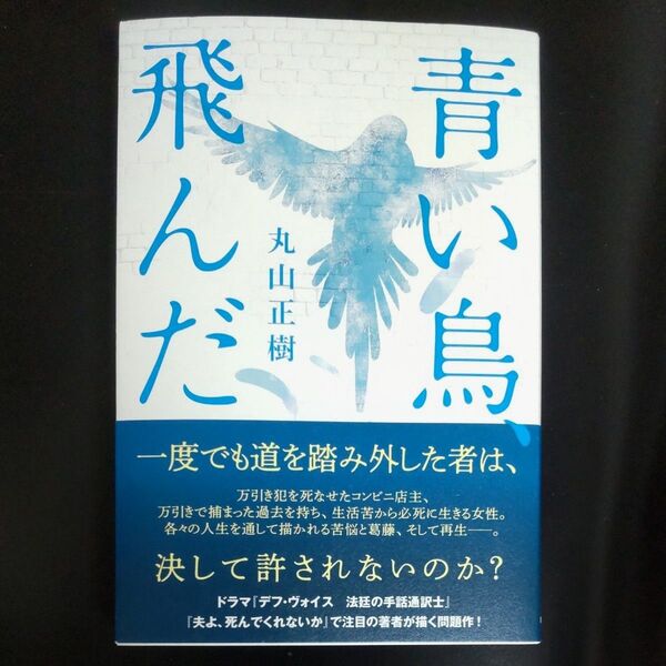 『青い鳥、飛んだ』 丸山正樹/著 単行本 2025年5月18日発行 第1刷 再出品可!