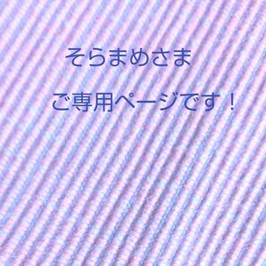 そらまめさまのご専用ページです! クッキーサンド 120g入り ×3 画像の組み合わせです