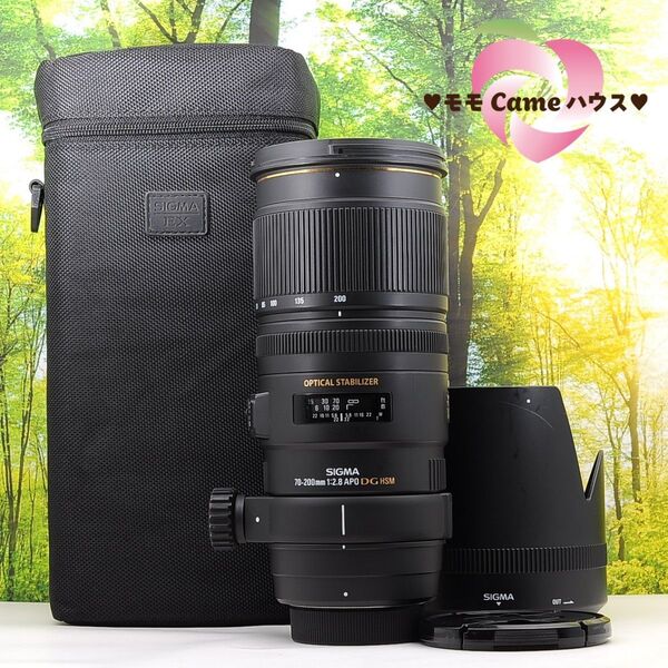 Nikon用望遠レンズ☆シグマ 70-200㎜ F2.8★フルサイズ機対応