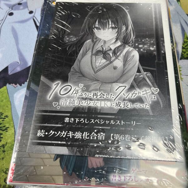 10年ぶりに再会したクソガキは清純美少女JKに成長していた 6 (オーバーラップ文庫 か-05-06) 館西夕木/著