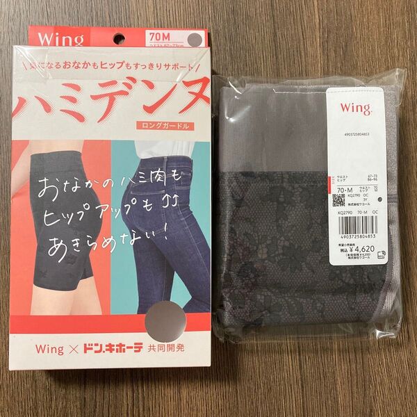 ワコール ウイング ハミデンヌ ロングガードル 70M モカ