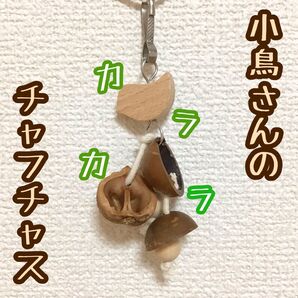 小鳥さんのカラカラチャフチャス★インコや文鳥のハンドメイドおもちゃ バードトイ