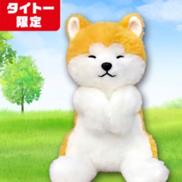 へそ天秋田犬コンパクトじゃんぼぬいぐるみ JB やまぶき タイトー限定 プライズ景品 オンライン ぬい 犬 ヘソ天