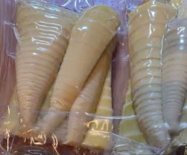 岩手県産 絶品 タケノコ 筍 水煮 1.5キロ 初夏 旬 天ぷら 山菜 野菜 残り わずか 即日出荷 そのまま食べれる