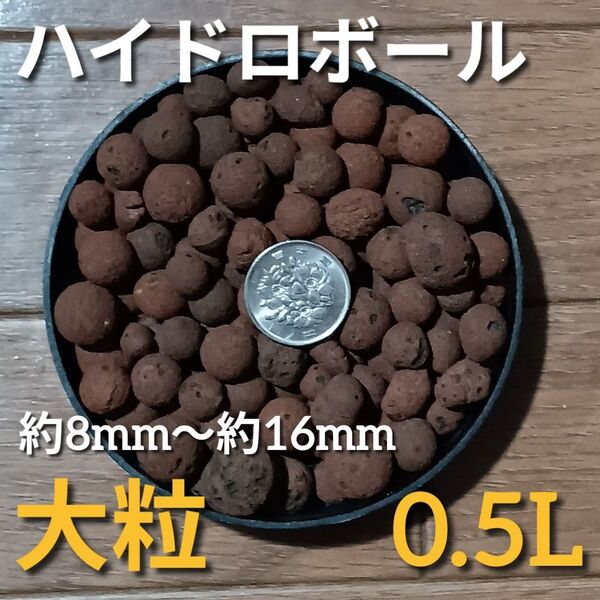 人工軽石 ハイドロボール 大粒 約0.5L