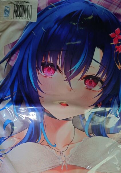 に印 黎木杏奈 抱き枕カバー 新品未開封