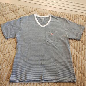ダントン danton Vネック ボーダー 新品未着用 カットソー Tシャツ