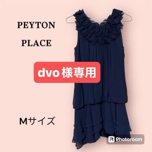 PEYTON PLACE 他 計2点