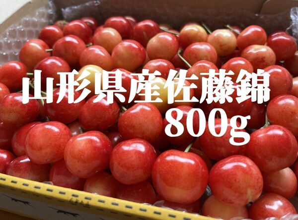 翌日受取可能な方限定!収穫でき次第発送!山形県産 さくらんぼ 家庭用 佐藤錦 800g 色甘め、双子、少しの割れ物