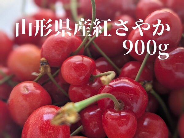 翌日受取可能な方限定!収穫でき次第発送!山形県産 さくらんぼ 家庭用 紅さやか 900g 色甘め、双子、少しの割れ物